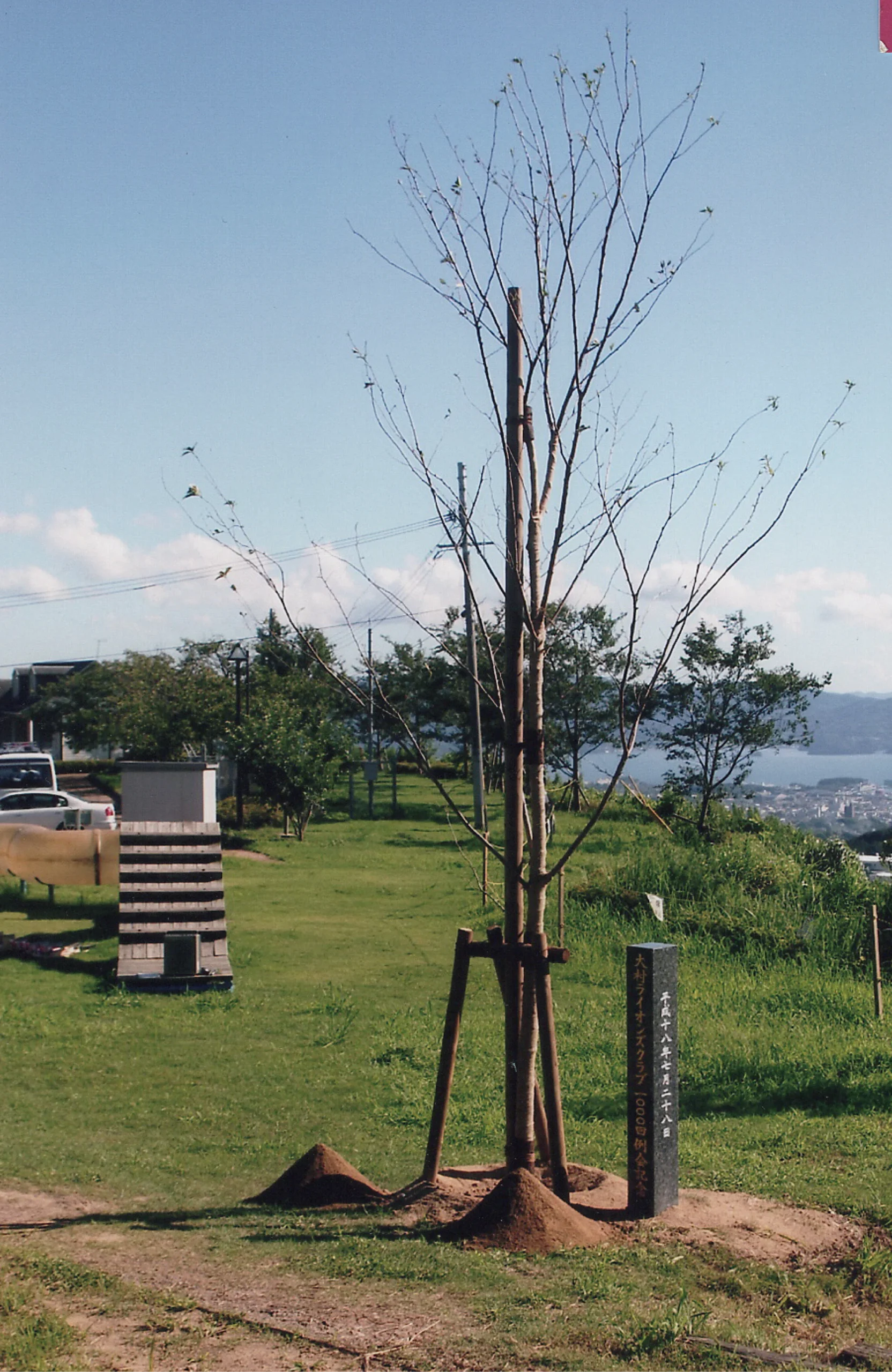 琴平岳に吉野桜を記念植樹